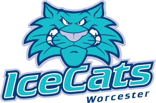 Worcester IceCats 2002 03-2004 05 Primary Logo iron on heat transfer